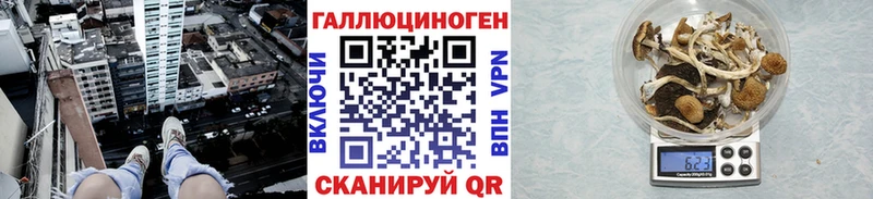 Псилоцибиновые грибы мицелий  Шуя 